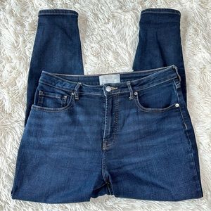 Everlane Curvy High Rise Skinny Cropped Jean Size 30/10